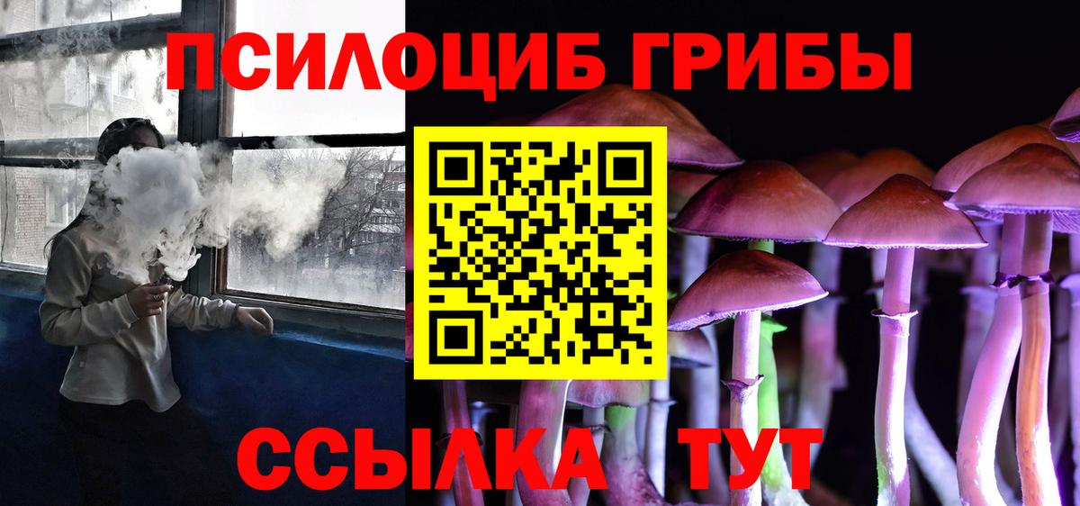 Галлюциногенные грибы Psilocybe Малоярославец