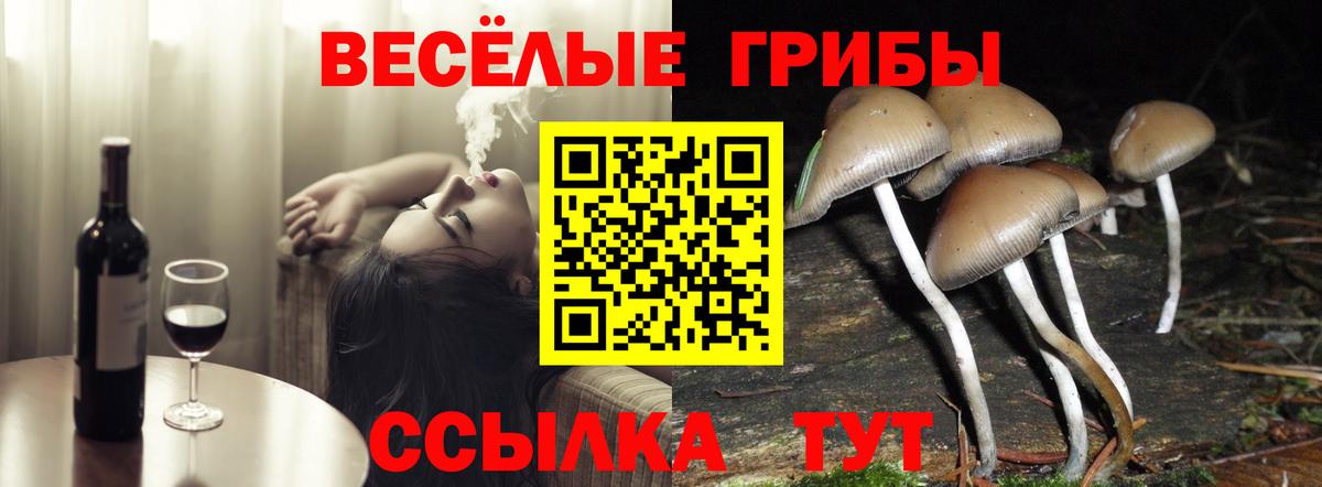 Галлюциногенные грибы MAGIC MUSHROOMS  Вход с VPN  Малоярославец  Псилоцибиновые грибы мицелий 
